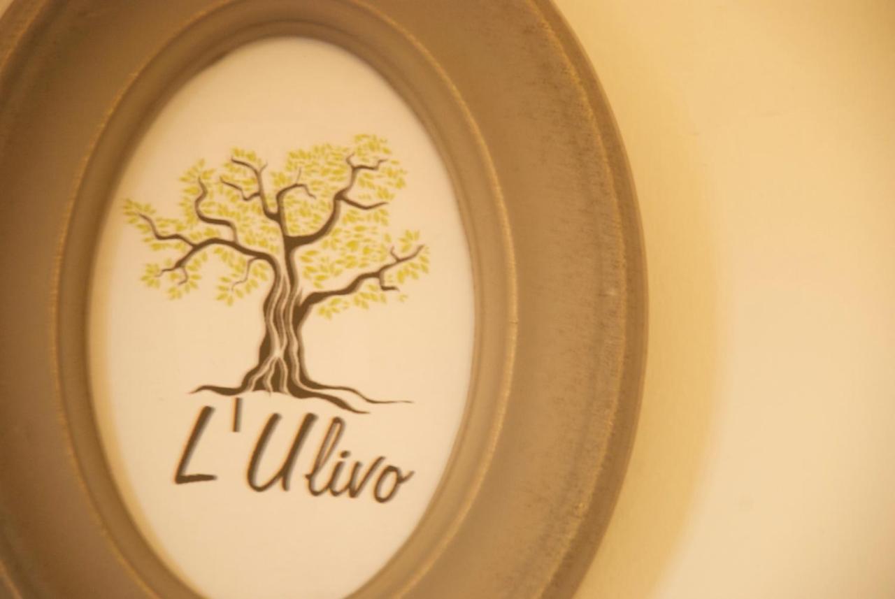 Alle Terme B&B Rapolano Terme Eksteriør billede